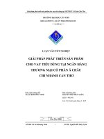 LUẬN văn GIẢI PHÁP PHÁT TRIỂN sản PHẨM CHO VAY TIÊU DÙNG tại NGÂN HÀNG THƯƠNG mại cổ PHẦN á CHÂU CHI NHÁNH cần THƠ 