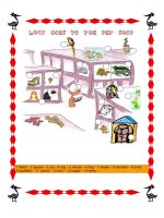 8441 lucy goes to the pet shop 