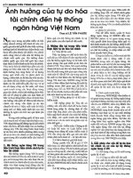 ẢNH HƯỞNG tự DO hóa tài CHÍNH đến hệ THỐNG NGÂN HÀNG VIỆT NAM 