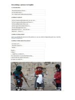 8505 describing a picture in english 