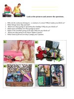 56915 holiday suitcase 3 