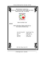 ĐỀ tài PHÂN TÍCH KHẢ NĂNG SINH lời tại NGÂN HÀNG THƯƠNG mại 