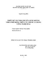 Thiết kế vector chuyển gene kháng virus phổ rộng trên cây thuốc lá bằng công nghệ RNAi 