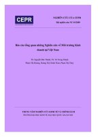 BÁO cáo TỔNG QUAN NHỮNG NGHIÊN cứu về môi TRƯỜNG KINH DOANH tại VIỆT NAM 