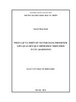 Phân lập và thiết kế vector mang promoter liên quan đến quá trình phát triển phôi ở cây arabidopsis 