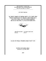 Luận Văn Cao Học Nguyễn Bỉnh Khiêm