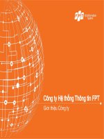 introduction slide vn 160608 full 