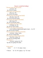 Tổng hợp về câu bị động