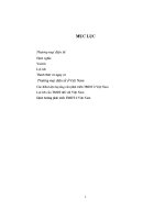 ĐỀ tài THƯƠNG mại điện tử ở VIỆT NAM   THỰC TRẠNG và GIẢI PHÁP PHÁT TRIỂN 