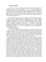 Finance Assignment Telstra 2016