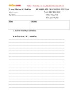 Đề thi khảo sát chất lượng đầu năm môn Tiếng Việt lớp 5 trường Tiểu học số 1 Trà Sơn, Quảng Ngãi năm học 2014 - 2015