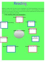 30625 reading skills and strategies 