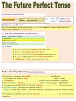 66477 the future perfect tense explained the best way theory  practice   answer key 