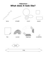 5263 adjectives  what does it look like 