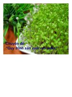 CHUYÊN đề QUY TRÌNH sản XUẤT RAU mầm 