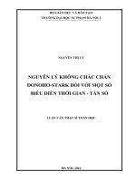 Nguyên lý không chắc chắn donoho stark đối với một số biểu diễn thời gian   tần số (LV01874) 