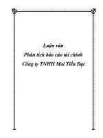 LUẬN văn PHÂN TÍCH báo cáo tài CHÍNH CÔNG TY TNHH MAI TIẾN đạt