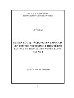 Nghiên cứu sự tác động của capsaicin lên thụ thể neurokinin 1 trên tế bào lympho và tế bào mang vectơ tái tổ hợp NK 1 