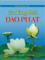 CÁC TÔNG PHÁI đạo PHẬT 