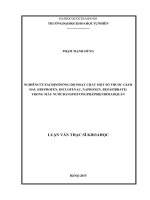 Nghiên cứu xác định nồng độ hoạt chất một số thuốc giảm đau (ibprofen, diclofenac, naproxen, bezafibrate) trong mẫu nước bằng phương pháp điện di mao quản 