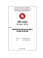 TIỂU LUẬN TIỀM NĂNG PHÁT TRIỂN của các CÔNG TY tài CHÍNH tại VIỆT NAM 