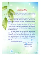 Khóa luận đánh giá hiệu quả sử dụng vốn tại công ty TNHH bia huế   luận văn, đồ án, đề tài