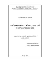 Nhóm đồ đồng thời đại kim khí ở đông anh (hà nội) 