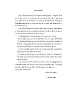 BÁO cáo PHÂN TÍCH tài CHÍNH CÔNG TY TNHH MAI TIẾN đạt 