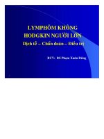 TIỂU LUẬN LYMPHÔM KHÔNG HODGKIN NGƯỜI lớn DỊCH tễ   CHẨN đoán   điều TRỊ 