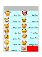 40592 crazy tim adjectives feelings and moods 