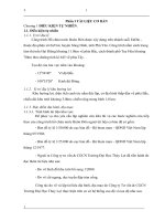 thiết kế hồ chưa buôn đôn