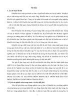 TÓN TẮT LUẬN VĂN: KHẢO SÁT HỆ SỐ KHUẾCH TÁN HIỆU DỤNG CỦA BO VÀ SAI HỎNG ĐIỂM TRONG QUÁ TRÌNH KHUẾCH TÁN ĐỒNG THỜI ĐA THÀNH PHẦN TRONG SILIC.