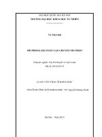 Mô phỏng bài toán vận chuyển neutron 