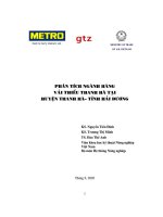ĐỀ tài PHÂN TÍCH NGÀNH HÀNG vải THIỀU THANH hà tại HUYỆN THANH hà   TỈNH hải DƯƠNG 