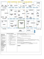 giving directions prepositions of place places in a town 