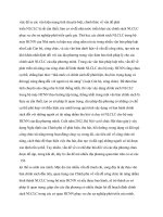 Chính sách nhân lực chất lượng cao trong các cơ quan hành chính nhà nước cấp tỉnh của thành phố Đà Nẵng