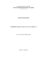 Mô phỏng ngập lụt hạ lưu lưu vực sông cả 