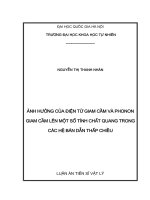 Ảnh hưởng của điện tử giam cầm và phonon giam cầm lên một số tính chất quang trong các hệ bán dẫn thấp chiều 