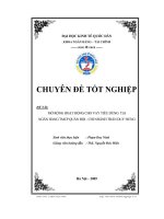 CHUYÊN đề mở RỘNG HOẠT ĐỘNG CHO VAY TIÊU DÙNG tại NGÂN HÀNG THƯƠNG mại cổ PHẦN QUÂN đội   CHI NHÁNH TRẦN DUY HƯNG 
