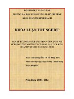 Phân tích cấu trúc vốn và chi phí sử dụng vốn tại công ty cổ phần đầu tư và kinh doanh vật liệu xây dựng fico