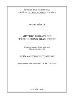 Metric kobayashi trên không gian phức (LV01871)