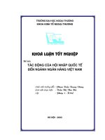 KHÓA LUẬN tác ĐỘNG của hội NHẬP QUỐC tế đến NGÀNH NGÂN HÀNG VIỆT NAM 