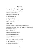 ĐỀ án NGUỒN vốn đầu tư TRONG DOANH NGHIỆP   THỰC TRẠNG và GIẢI PHÁP HUY ĐỘNG, sử DỤNG vốn đầu tư PHÁT TRIỂN TRONG DOANH NGHIỆP NHÀ nước ở VIỆT NAM HIỆN NAY 