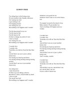 7676 lemon tree lyrics 