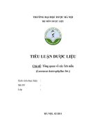 ĐỀ tài TỔNG QUAN tài LIỆU về cây ÍCH mẫu   LEONURUS HETEROPHYLLUS 