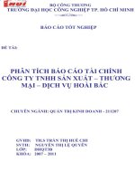 BÁO cáo PHÂN TÍCH tài CHÍNH CÔNG TY TNHH sản XUẤT   THƯƠNG mại   DỊCH vụ HOÀI bắc 