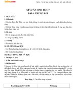 Giáo án Sinh học 7 bài 4: Trùng roi