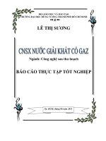 Công nghệ sản xuất nước giải khát có gaz