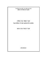 BÁO cáo THỰC tập tại CÔNG TY DU LỊCH cửu LONG 
