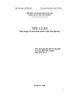 TIỂU LUẬN THỰC TRẠNG cải CÁCH HÀNH CHÍNH ở VIỆT NAM HIỆN NAY 